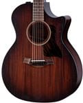 Taylor AD24ce Grand Auditorium Acoustic Electric Guitar with Aerocase Body Angled View
